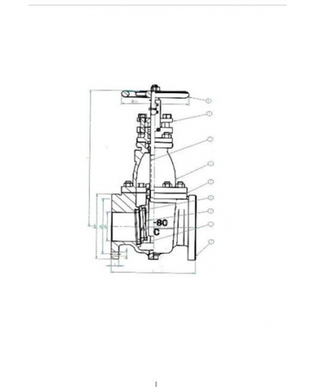 Cast Iron 5K Gate Valve DN50