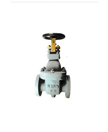 Cast Iron 5K Gate Valve DN50