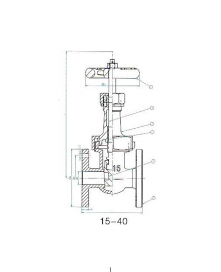 Cast Iron 5K Gate Valve DN80