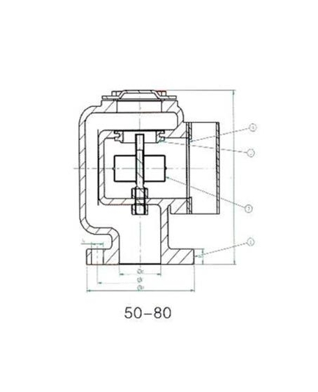 Cast Iron JIS Air Vent Head Disc Type Valve DN50